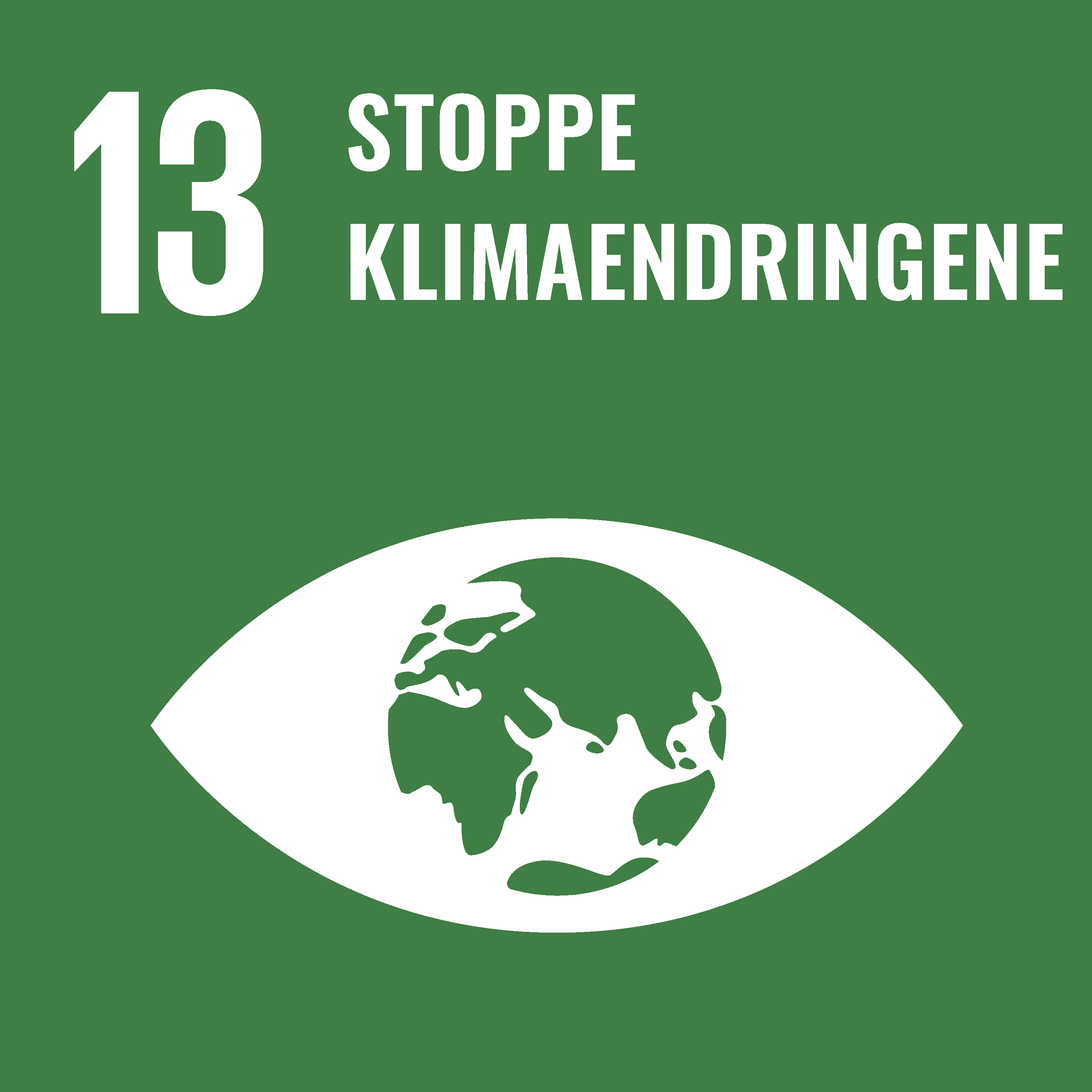 En grafikk med en globus inne i en øyeform på grønn bakgrunn med teksten "13 stop klimaendringene" i hvitt.