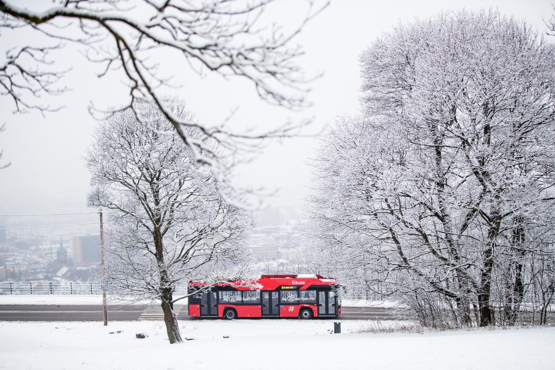 En rød buss kjører langs en vei flankert av snødekte trær med et uskarpt bybilde i bakgrunnen.