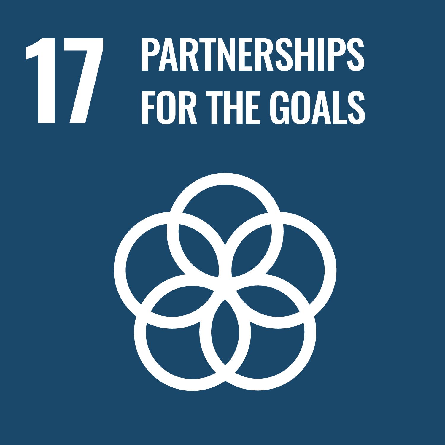 En mørkeblå grafikk med tallet 17 og teksten "Partnerships for the Goals" ved siden av et ikon med fem sammenlåsende sirkler arrangert i et blomsterlignende mønster.